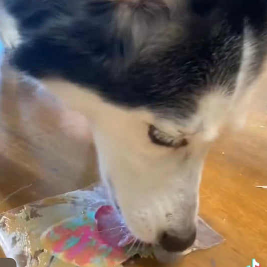 Dog Easter Egg DIY